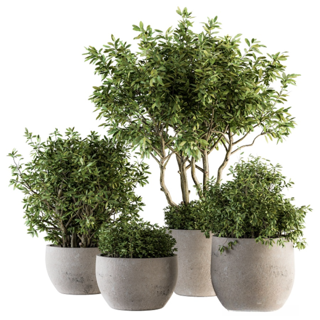 现代绿植盆栽3D模型