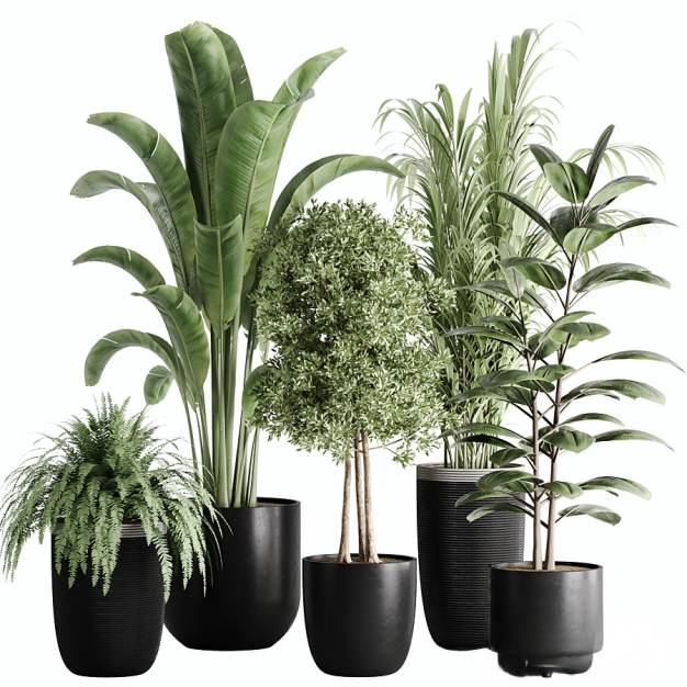 现代绿植盆栽组合3D模型