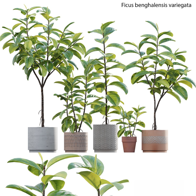 现代绿植盆栽3D模型