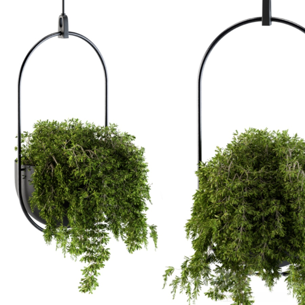 植物盆栽3D模型