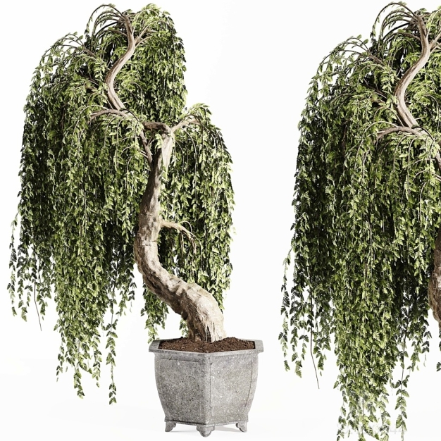 现代植物盆栽3D模型