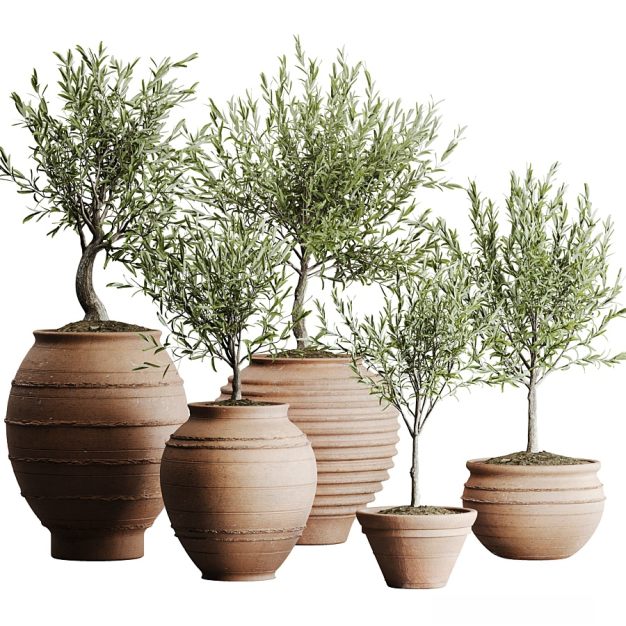 植物盆栽3D模型