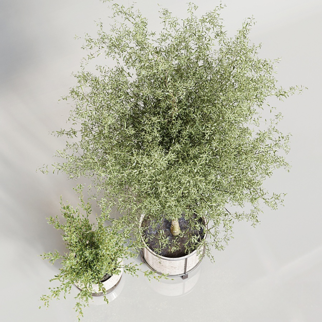 现代绿植盆栽3D模型