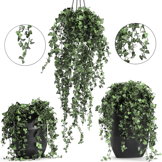 现代绿植吊篮3D模型