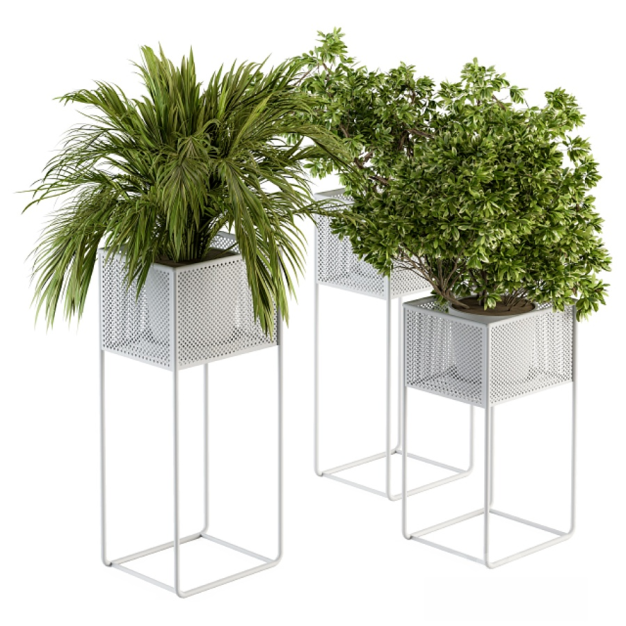 植物盆栽3D模型