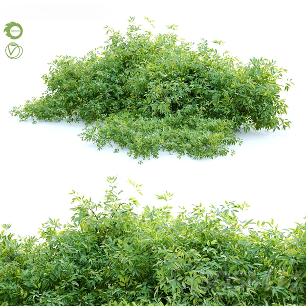 现代树木花草绿植3D模型