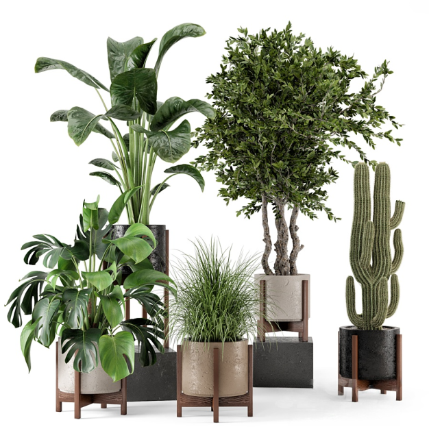 植物盆栽3D模型