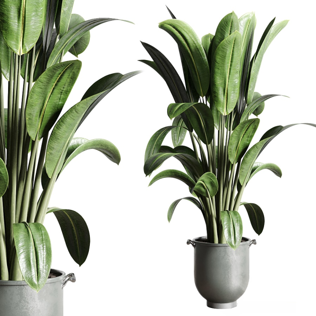 植物盆栽3D模型