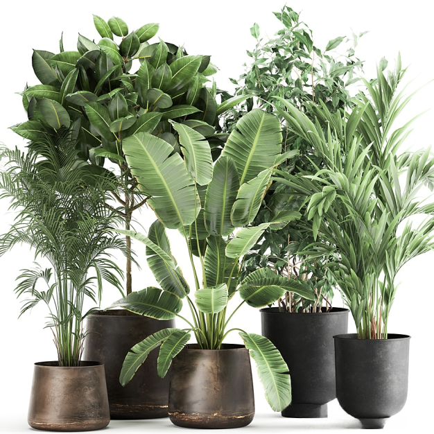 现代绿植盆栽组合3D模型