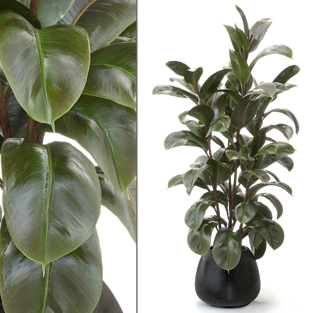 植物盆栽3D模型
