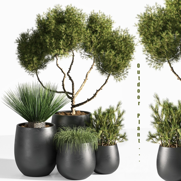 现代绿植盆栽3D模型