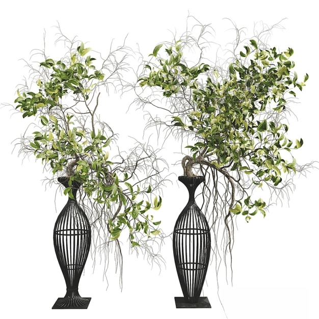 植物盆栽3D模型