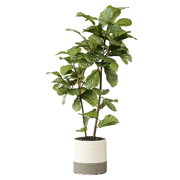 植物盆栽3D模型