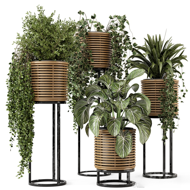 植物盆栽3D模型