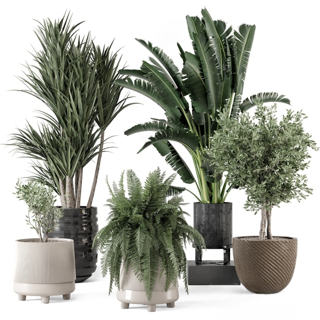 现代植物盆栽3D模型