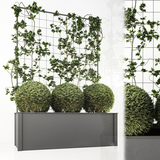 植物花坛 藤蔓3D模型