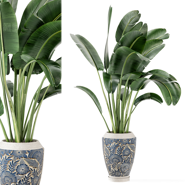 现代鹤望兰绿植盆栽3D模型