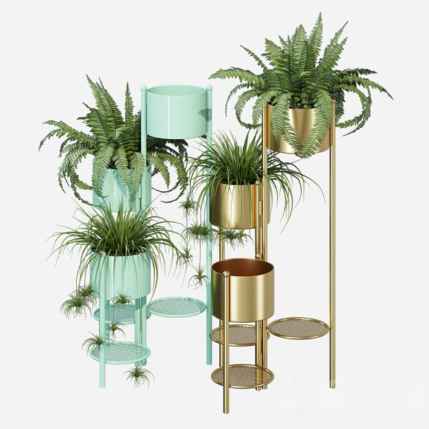 现代植物盆栽3D模型