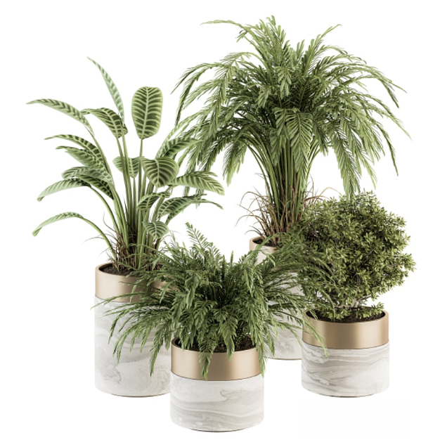 现代绿植盆栽3D模型