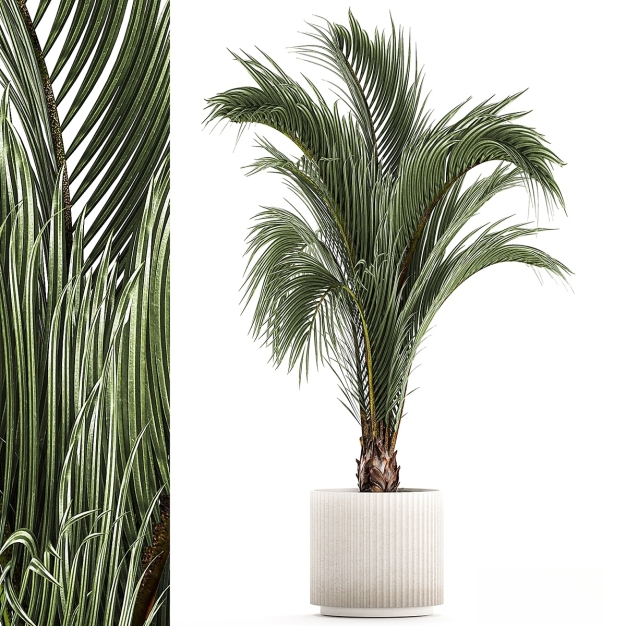 现代植物盆栽3D模型