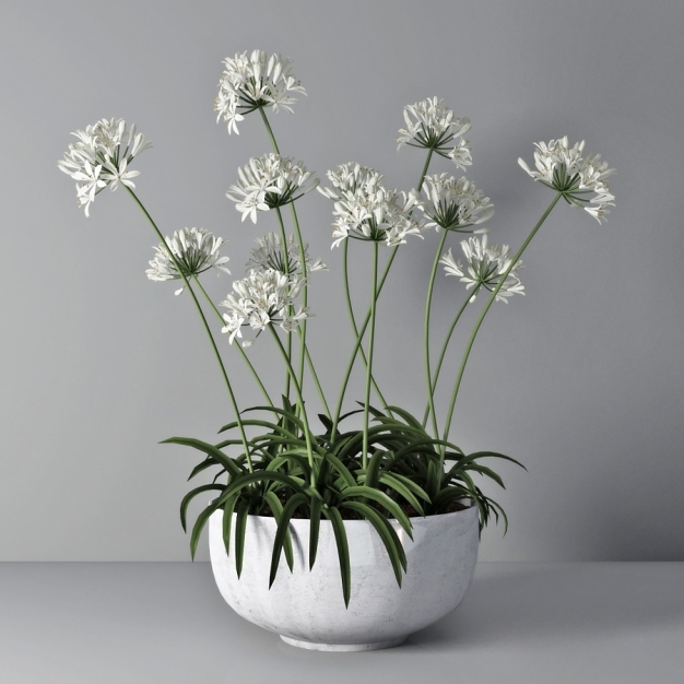 现代植物盆栽3D模型
