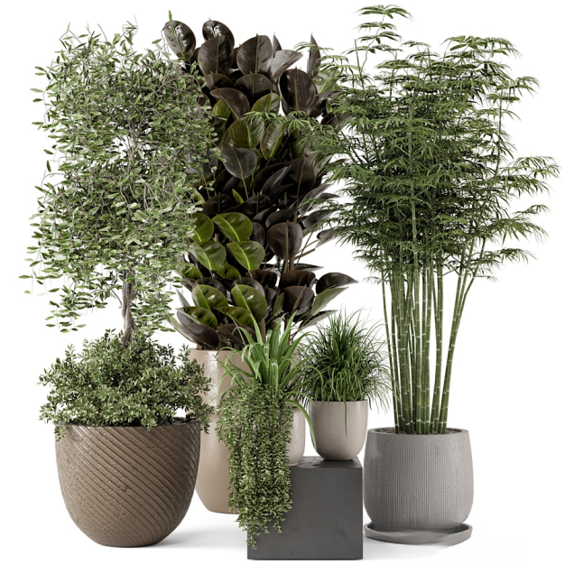 现代植物盆栽3D模型