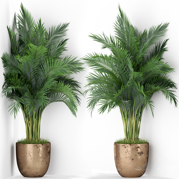 植物盆栽3D模型