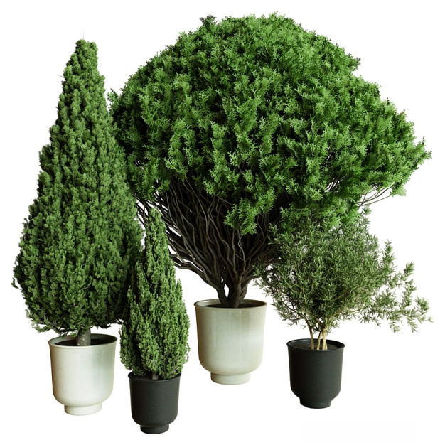 植物盆栽3D模型