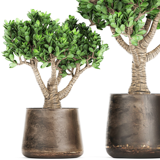 现代绿植盆栽3D模型