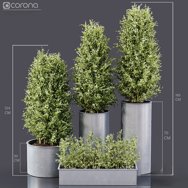 现代绿植盆栽组合3D模型