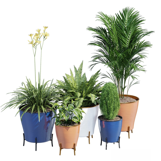 现代植物盆栽3D模型