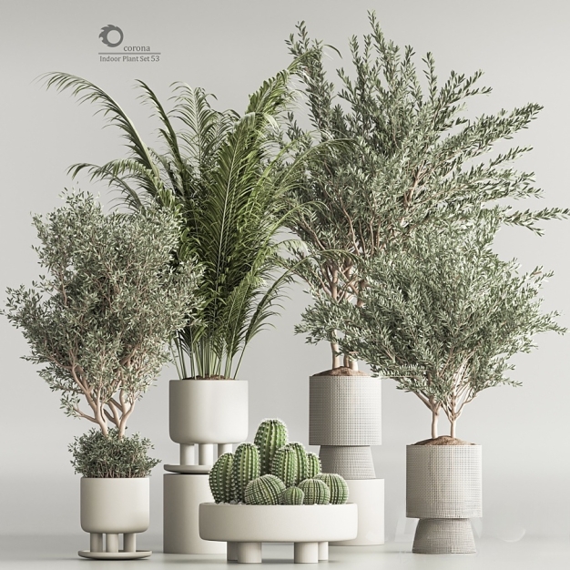 植物盆栽3D模型