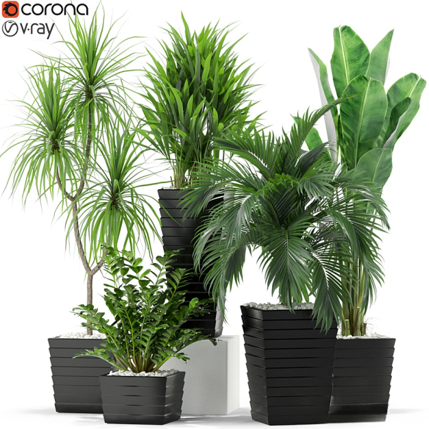 植物盆栽3D模型