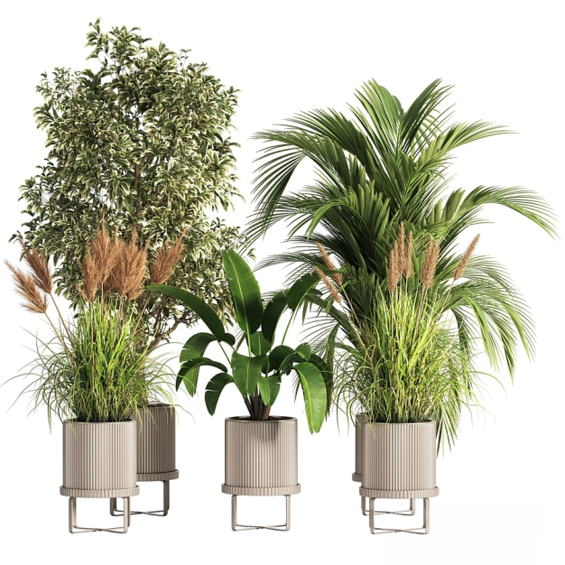 现代绿植盆栽组合3D模型