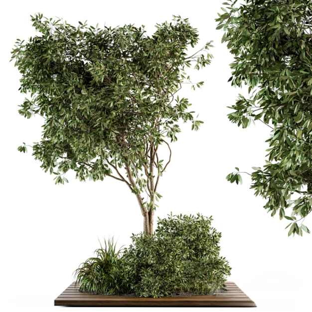 现代景观树3D模型