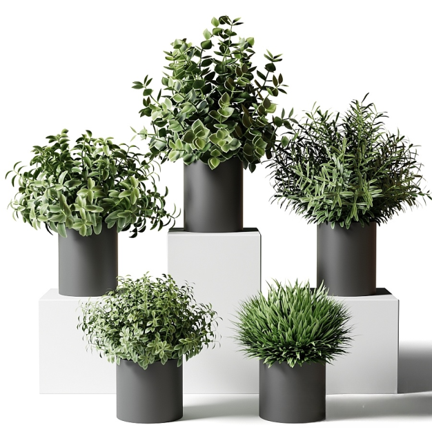 现代绿植盆栽3D模型