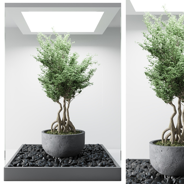 现代植物盆栽3D模型