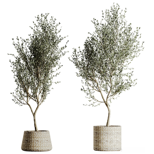现代植物盆栽盆景3D模型