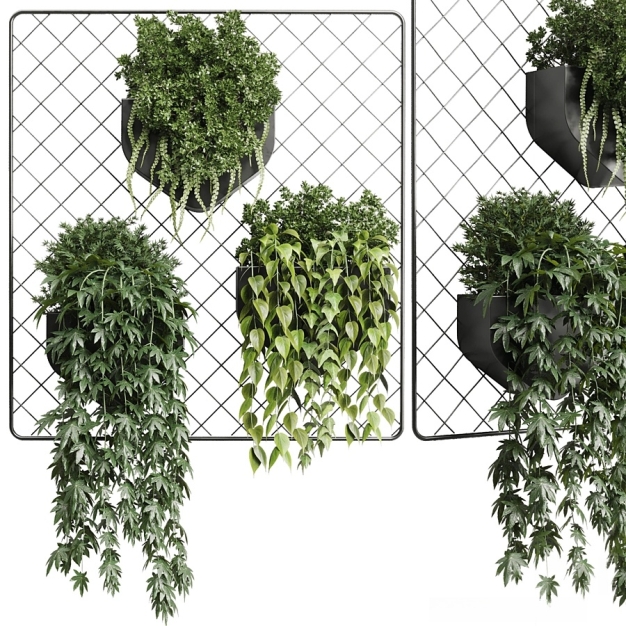 现代绿植吊篮3D模型