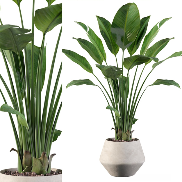 现代绿植盆栽3D模型