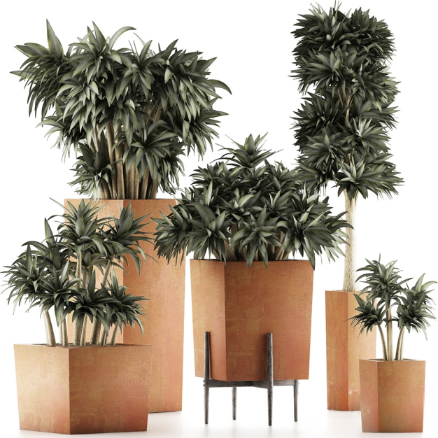 现代植物盆栽3D模型