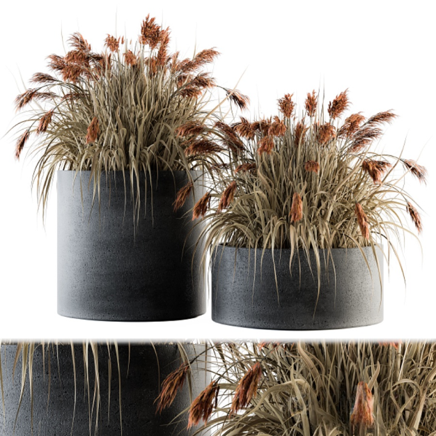 现代绿植盆栽组合3D模型
