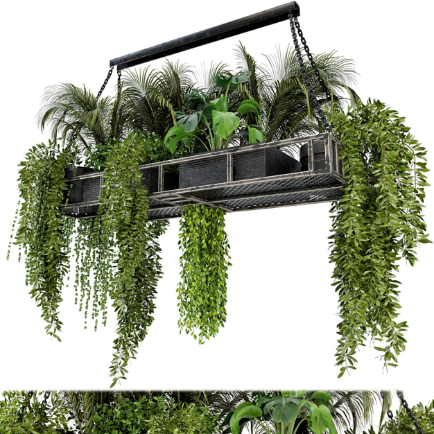 现代绿植吊篮3D模型