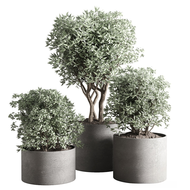 现代绿植盆栽3D模型