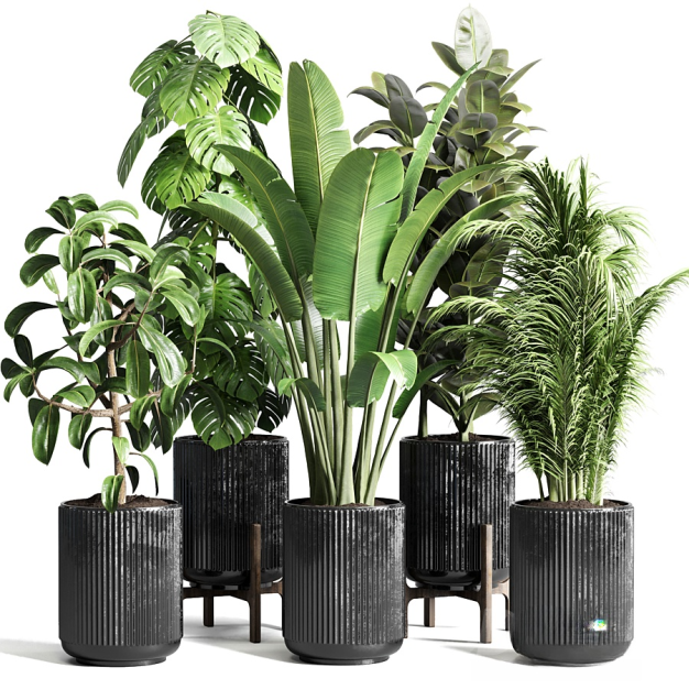 植物盆栽3D模型