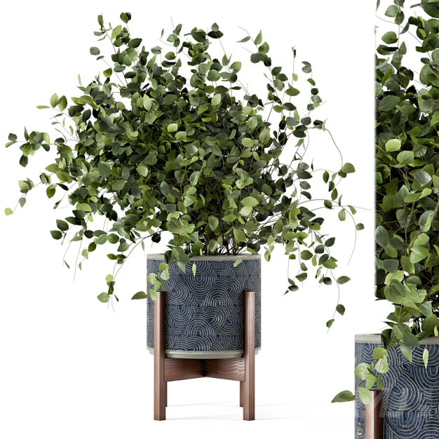 现代植物盆栽3D模型