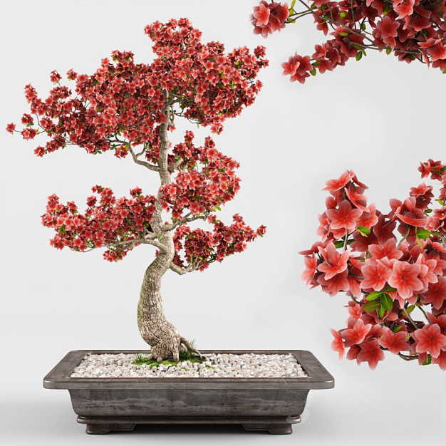 新中式花卉植物盆栽盆景3D模型