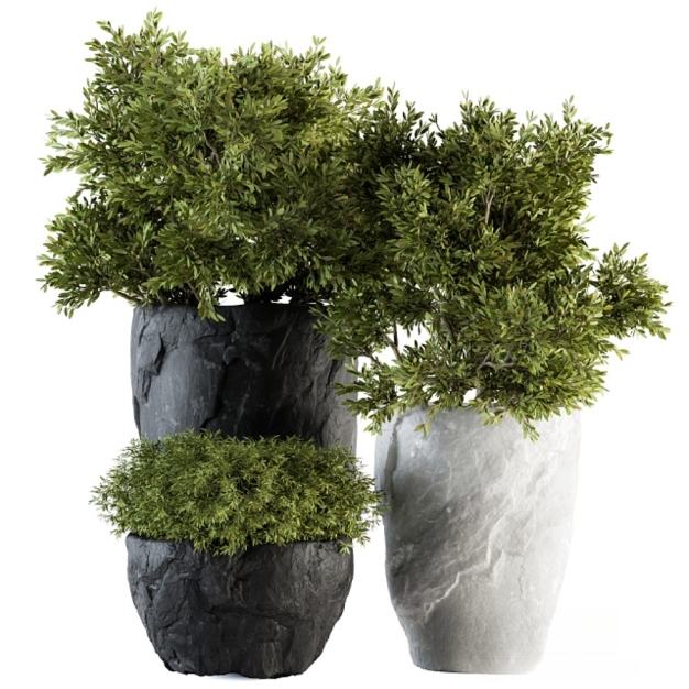 现代植物盆栽3D模型