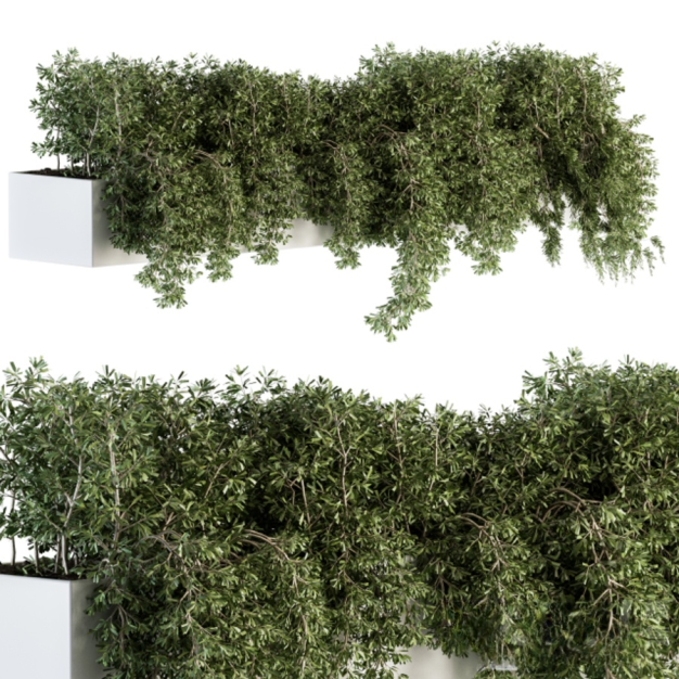 现代户外植物盆栽3D模型