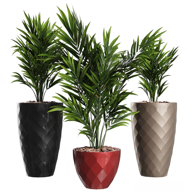 现代植物盆栽3D模型
